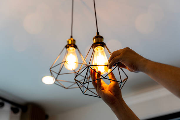 Best Local Electrician Companies  in Panora, IA