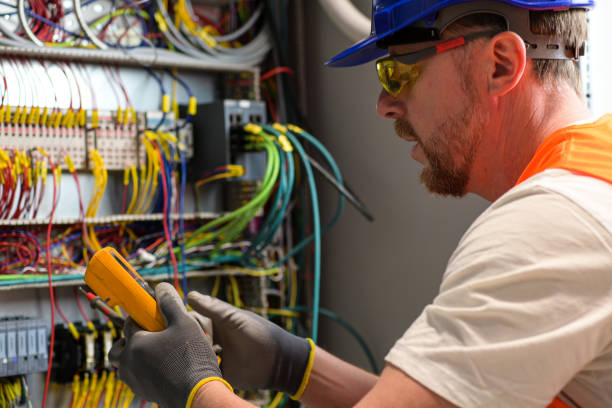 Best Electric Panel Repair  in Panora, IA