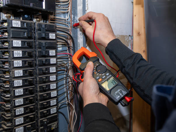 Best Electrical System Inspection  in Panora, IA